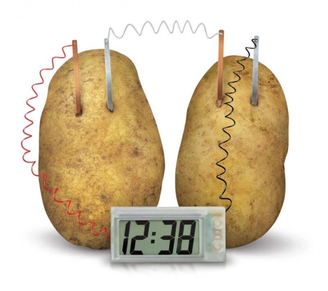 Horloge de pommes de terre