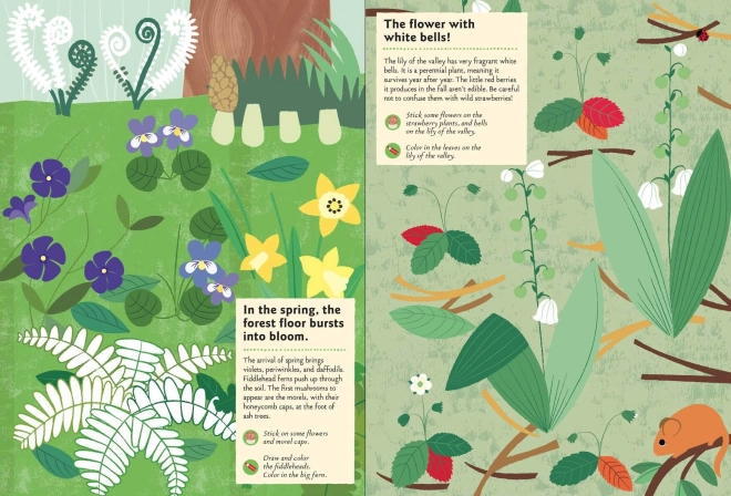 Chronicle Books Livre d'activités avec autocollants Ma nature Dans la forêt