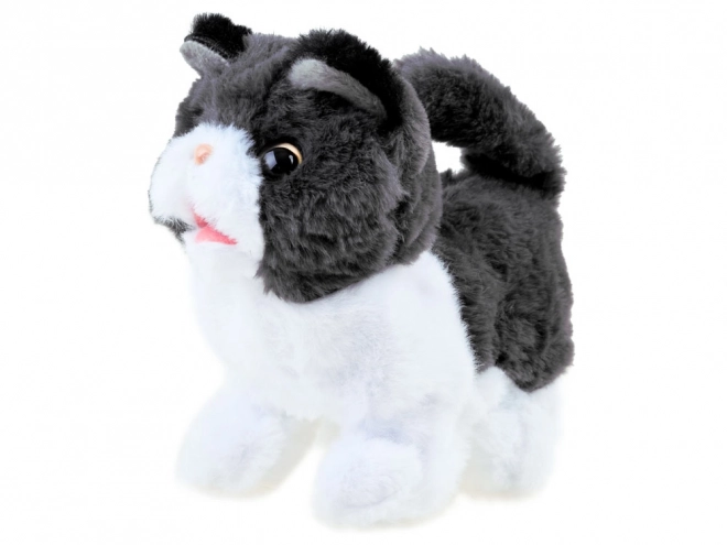 Chaton Interactif Psotek Cherche Maman