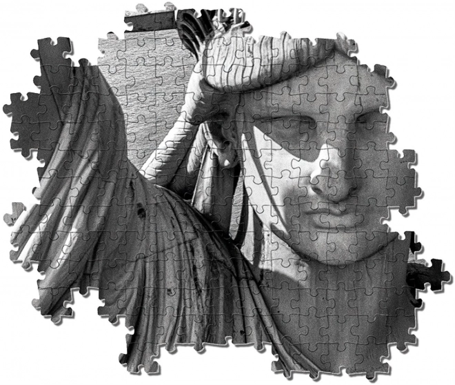 Puzzle 1000 pièces Collection Life