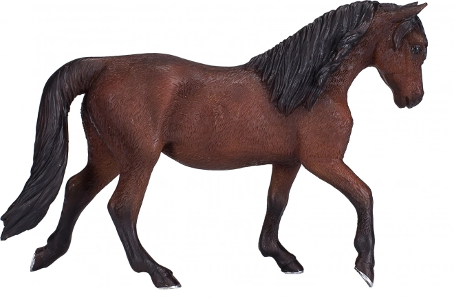 Cheval Morgan Palomino