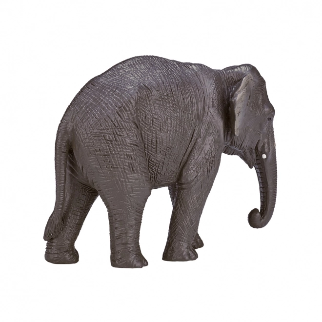 Mojo Éléphant indien