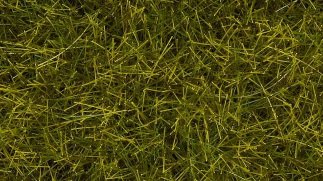 Noch herbe statique prairie sauvage 12 mm