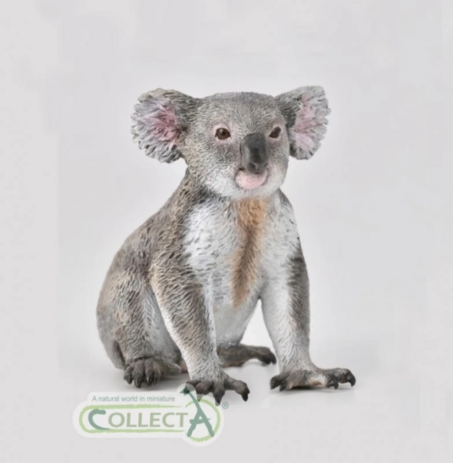 Collection de Koalas