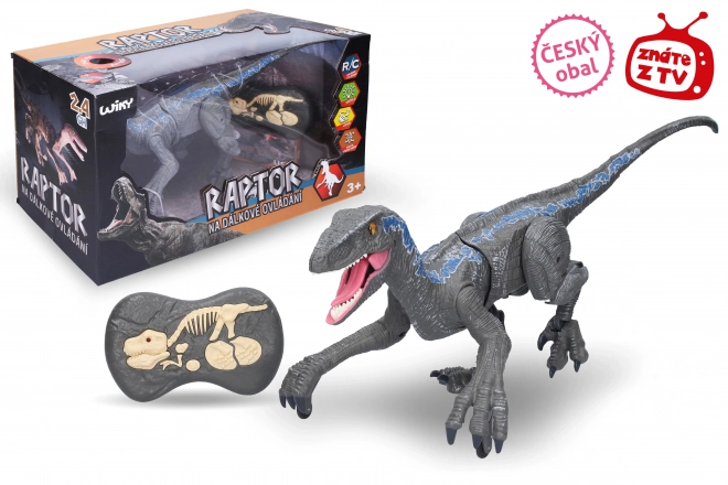 Raptor RC télécommandé 45 cm
