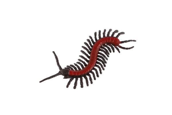 Modèles réalistes d'insectes en plastique