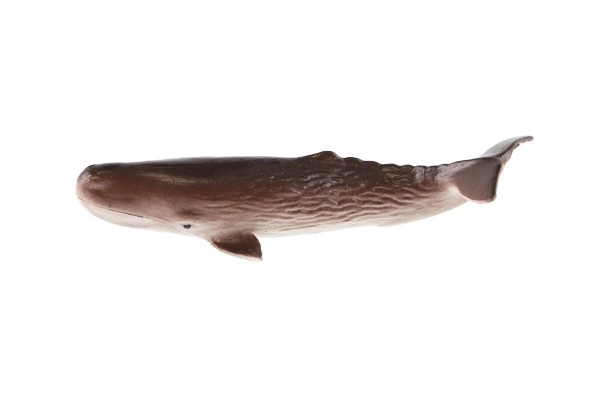 Créatures marines en plastique 8-10 cm mélange de types dans une boîte