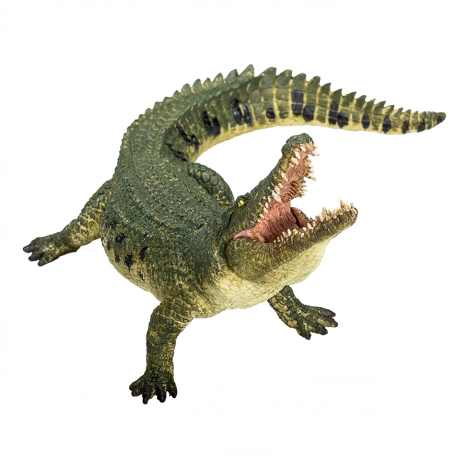 Crocodile Réaliste avec Mâchoire Articulée
