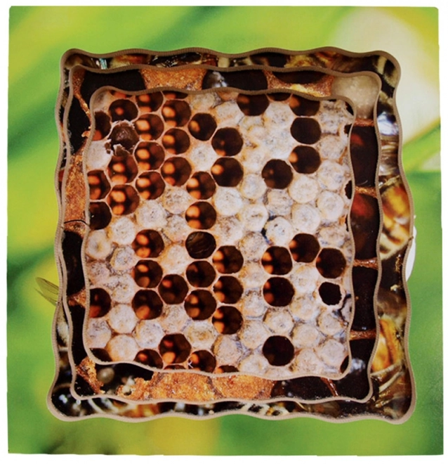 Just Jigsaws 600 Abeille – puzzle en bois superposé