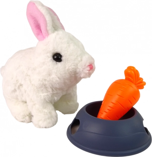 Jeu réaliste avec bol et carotte