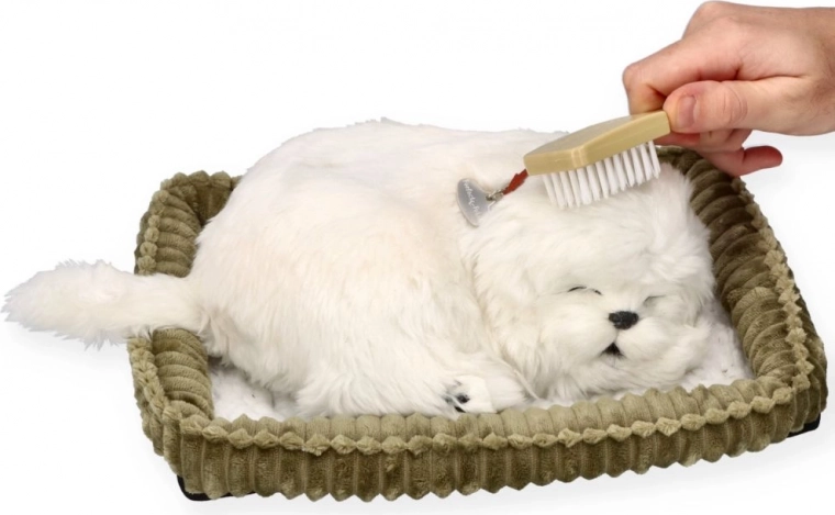 Soin et câlins comme avec un vrai chien