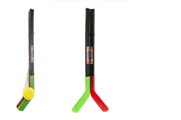 2 bâtons de hockey avec palet en plastique 70cm dans un filet