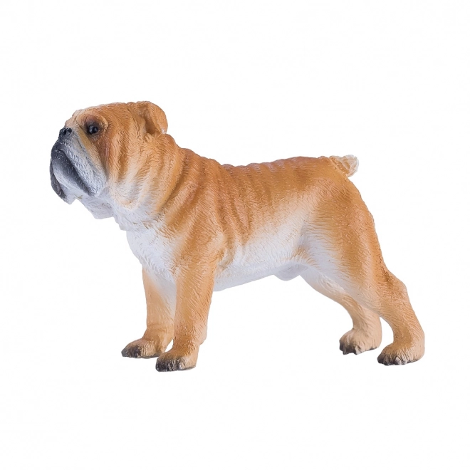 Mojo Bulldog Anglais