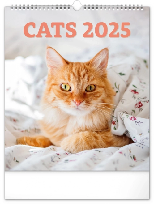 Calendrier mural Chats 2025, 30 × 34 cm