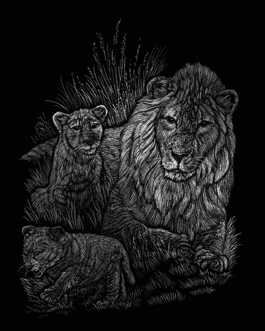 ROYAL & LANGNICKEL Illustrations à gratter en bloc Animaux sauvages