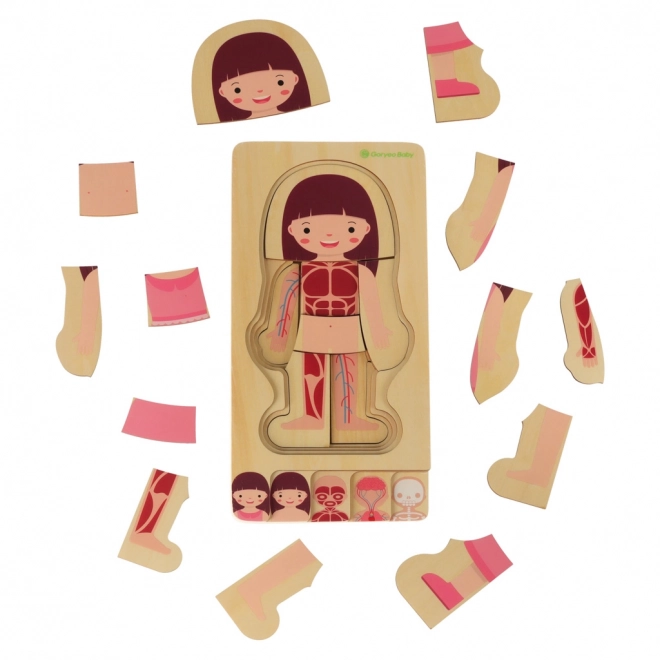 Puzzle en bois Montessori parties du corps - fille