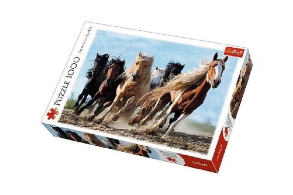 Puzzle Chevaux au Galop 1000 pièces 68,3x48cm dans boîte 40x27x6cm