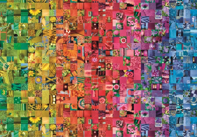 Puzzle 1000 pièces Compact Colorboom Collection
