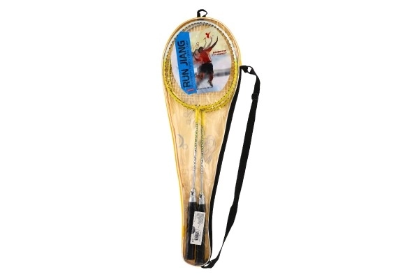Ensemble de badminton DE LUXE en métal