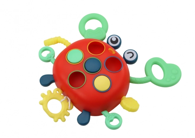 Crabe sensoriel Jouet éducatif interactif pour enfants