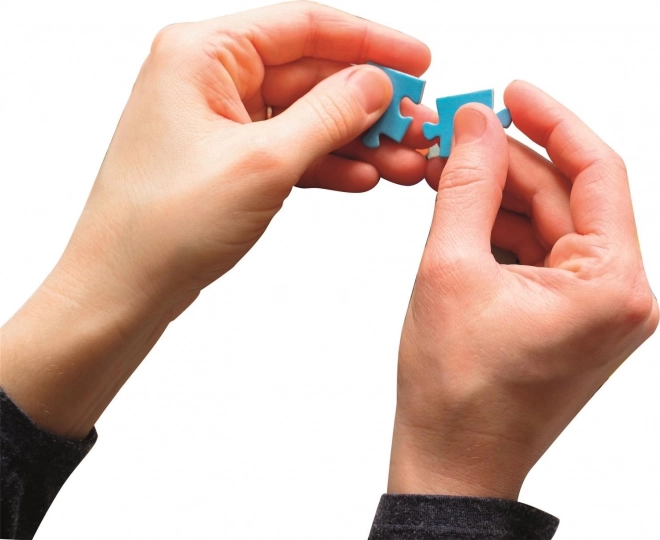 Puzzle CLEMENTONI La Belle et la Bête 1000 pièces