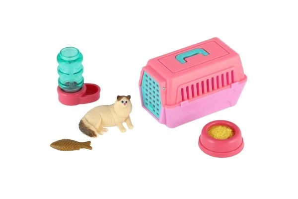 Petit chat avec une boîte de transport et accessoires