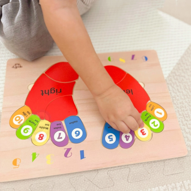 Puzzle en bois éducatif TOOKY TOY - Apprendre les chiffres et les couleurs