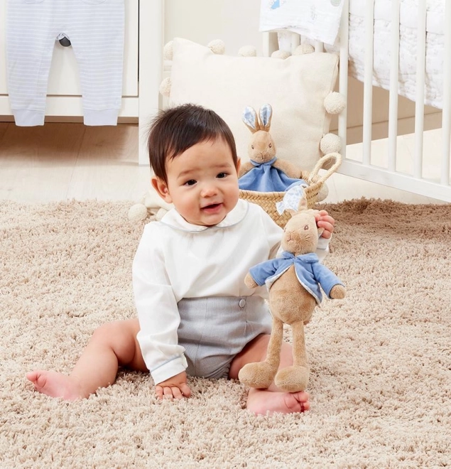 Aventures de Pierre le lapin en peluche