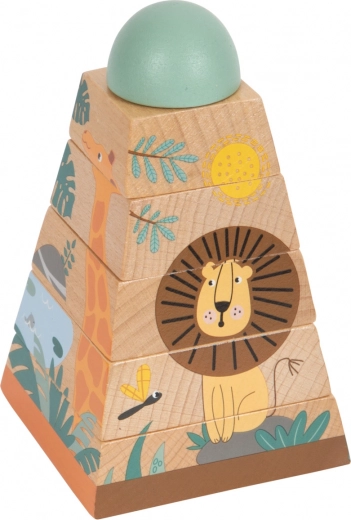 Design safari convivial