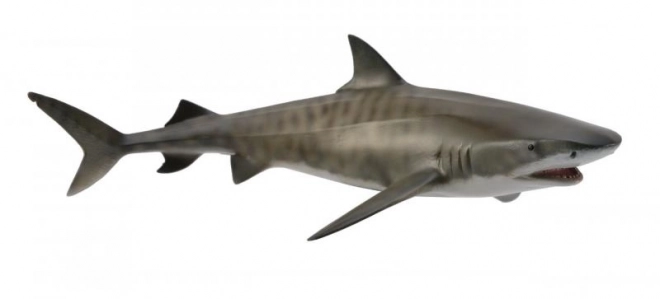 CollectA requin tigre