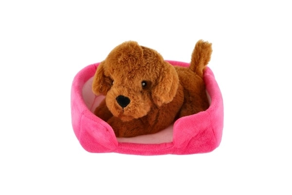 Petit animal chien dans son panier peluche 4 couleurs 22x24cm 24m+