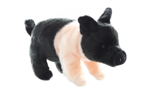 Cochon en peluche