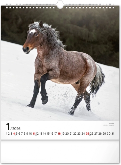 Calendrier mural Chevaux 2026