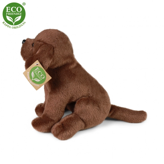 Chien en peluche labrador assis 20 cm ÉCOLOGIQUE