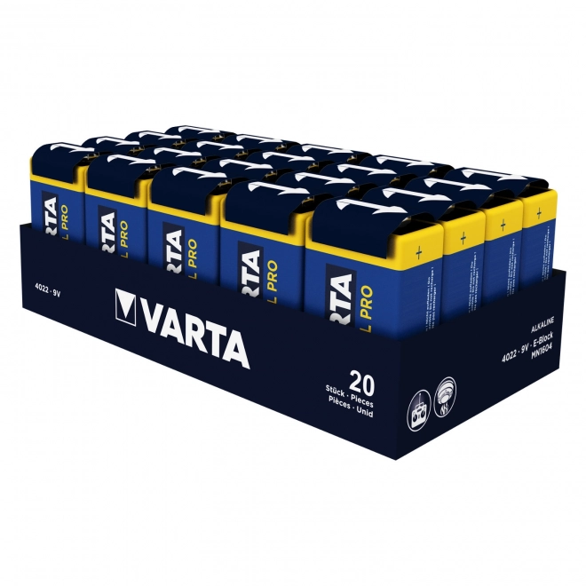 9V batterie alcaline Varta Industrial Pro 6LR61 - 1 pièce