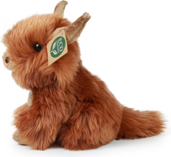 Aspect authentique de la vache Highland