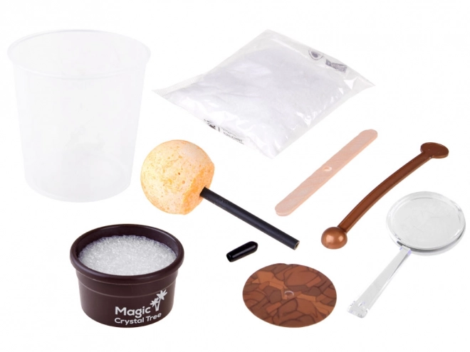 Kit de culture de cristaux - Arbre de la chance