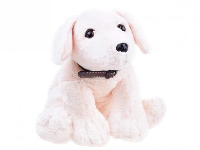 Chiot en peluche