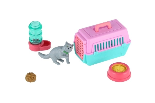 Petit chat avec une boîte de transport et accessoires