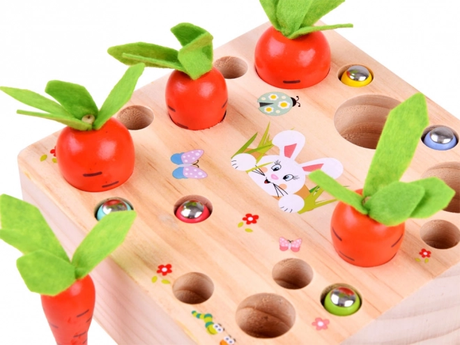 Jeu en bois avec carottes et vers
