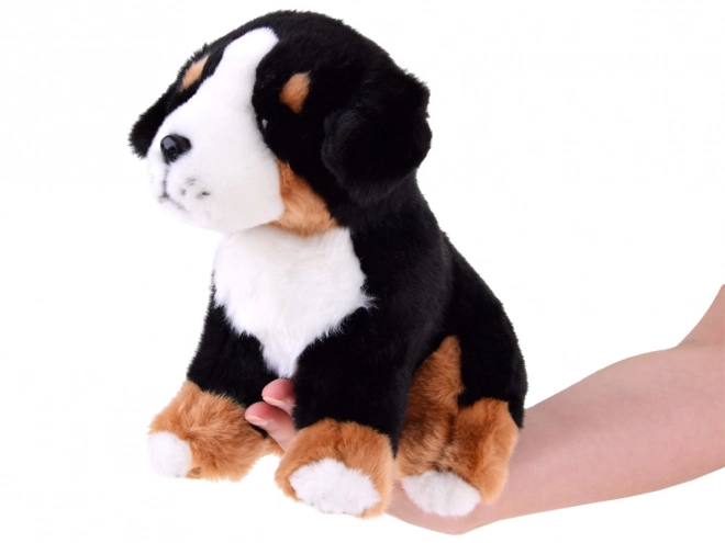 Chien en peluche Bouvier bernois - assis 20 cm