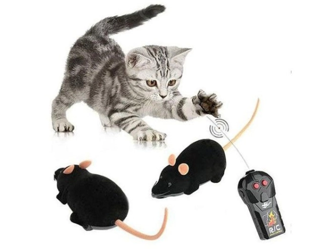 Amusement pour les chats et toute la famille