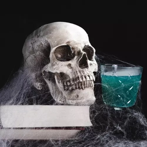 Toile d'araignée artificielle d'Halloween avec araignées