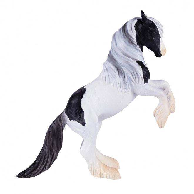 Mojo Étalon Gypsy Vanner