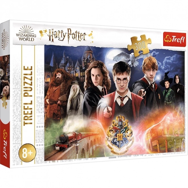 Puzzle Mystère Harry Potter 300 pièces