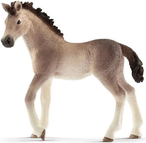 petit animal poulain andalou