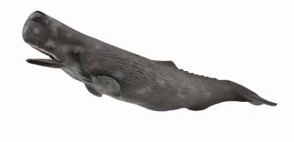 Baleine de la collection Collecta