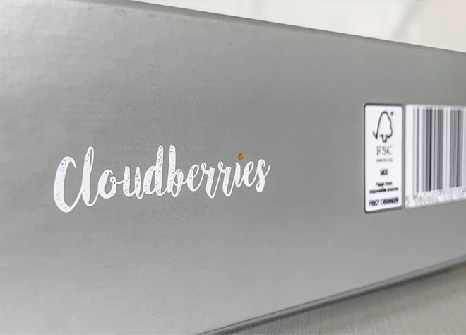 Puzzle avec Bâtiments 500 Pièces de Cloudberries