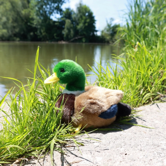 Canard en peluche Rappa ÉCOLOGIQUE 20 cm