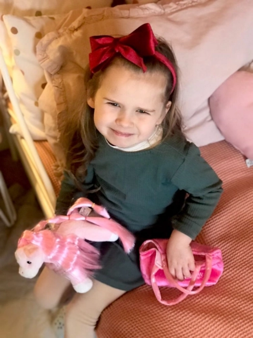 Poney en Peluche et Sac Princess